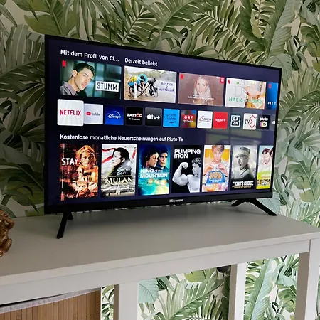 Almsternderl 2.0 - Gemuetliches In Lägenhet Gosau