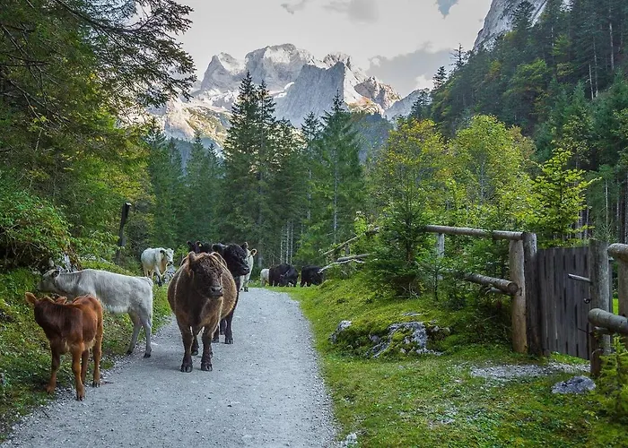 Lägenhet Almsternderl 2.0 - Gemuetliches In