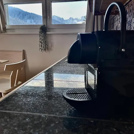 Almsternderl 2.0 - Gemuetliches In Daire *